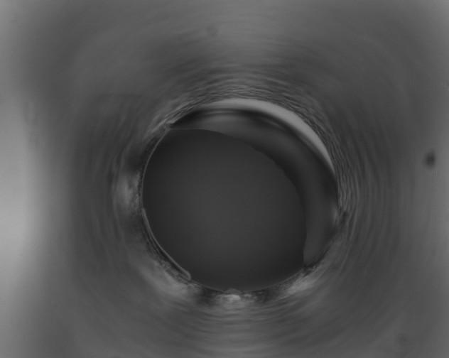 X0000089920239200707061025