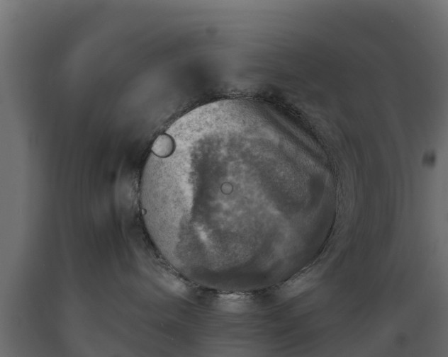 X0000089920240200707061025