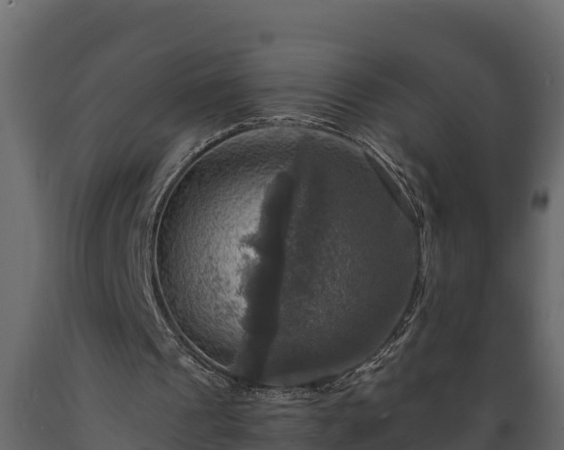 X0000089920241200707061024