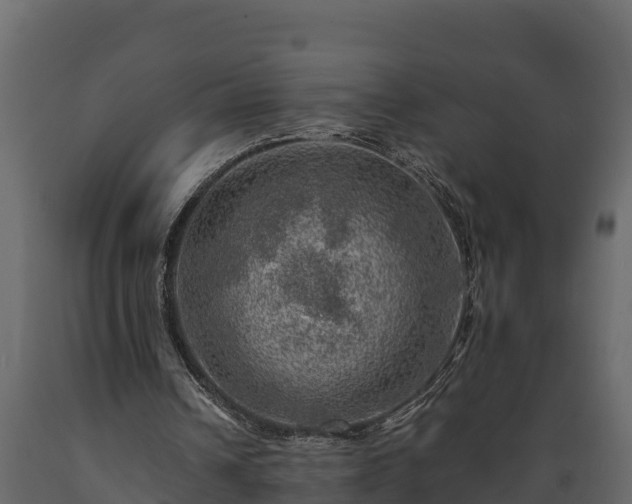 X0000089920242200707061024