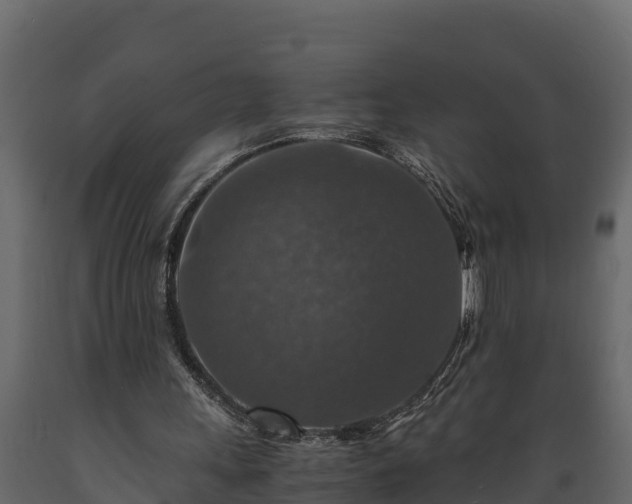 X0000089920243200707061024