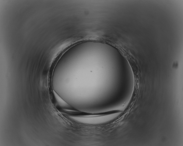 X0000089920244200707061024