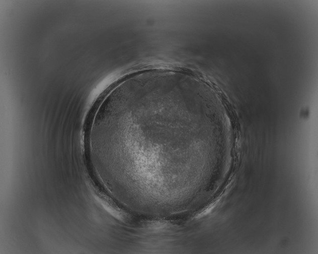 X0000089920246200707061025