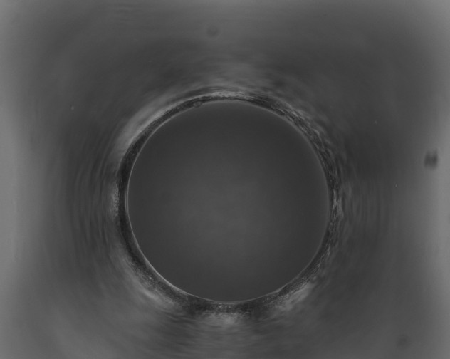 X0000089920247200707061025