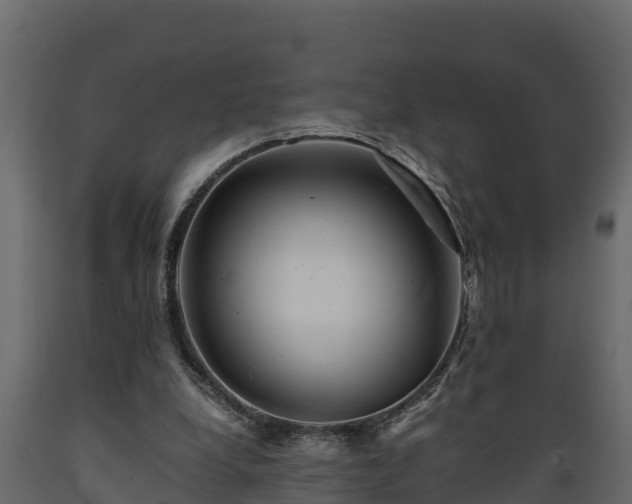 X0000089920248200707061025