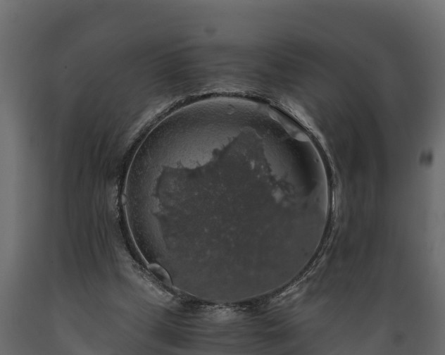 X0000089920249200707061025