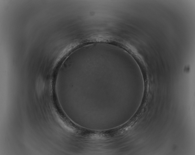 X0000089920250200707061025