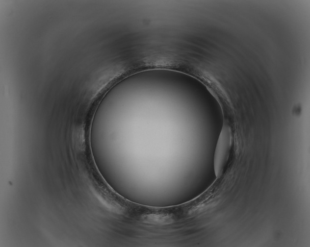 X0000089920251200707061025
