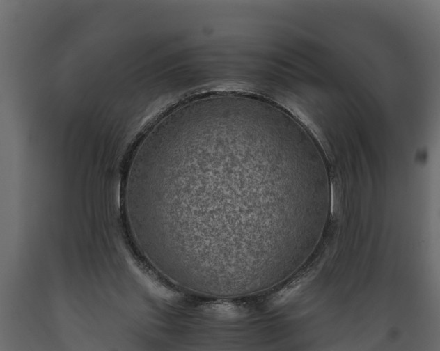 X0000089920253200707061025