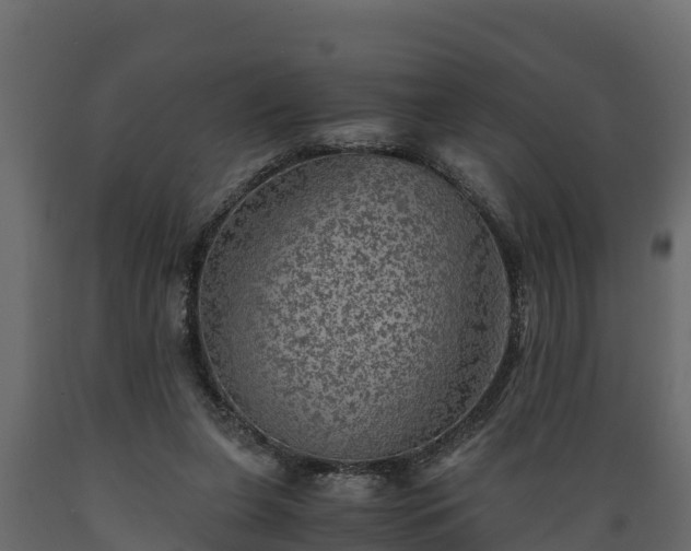 X0000089920255200707061025