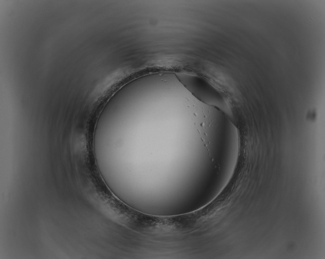 X0000089920256200707061025
