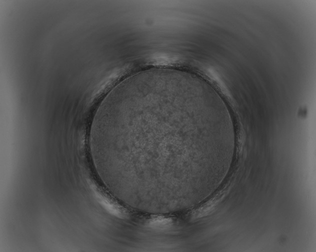 X0000089920257200707061025