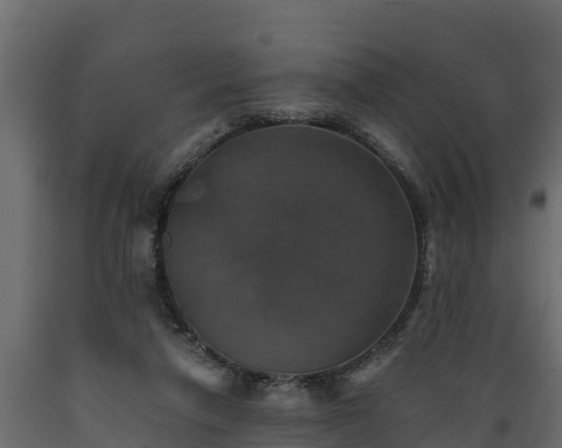X0000089920258200707061025