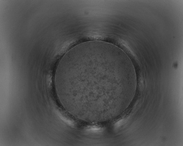 X0000089920259200707061025
