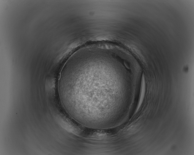 X0000089920260200707061025
