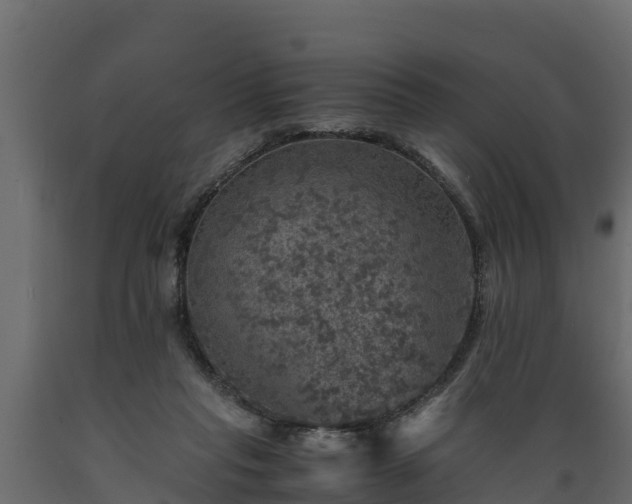 X0000089920261200707061025