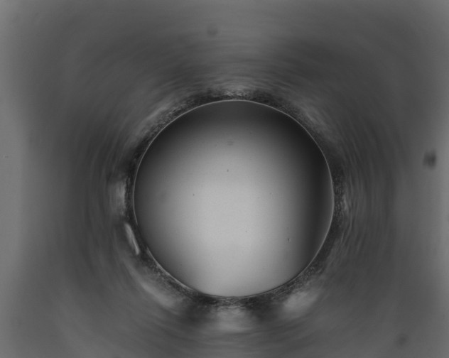 X0000089920262200707061025