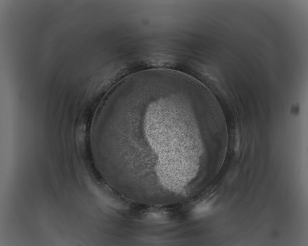 X0000089920263200707061025