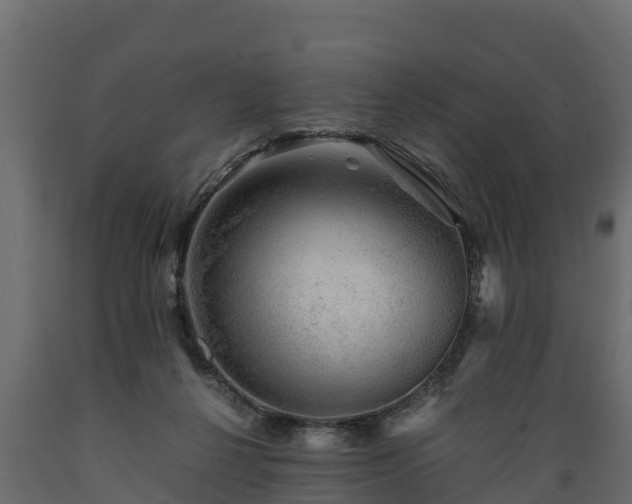 X0000089920264200707061025