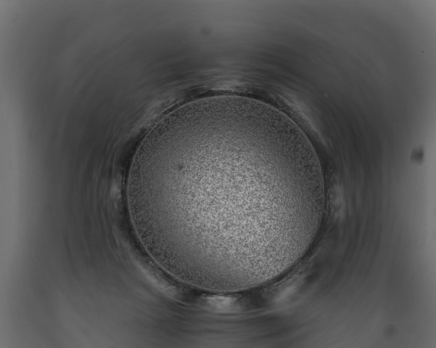 X0000089920265200707061025