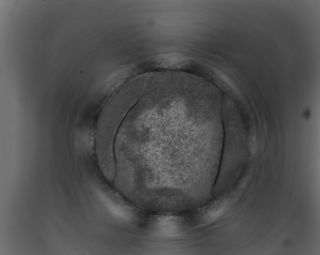 X0000089920268200707061025