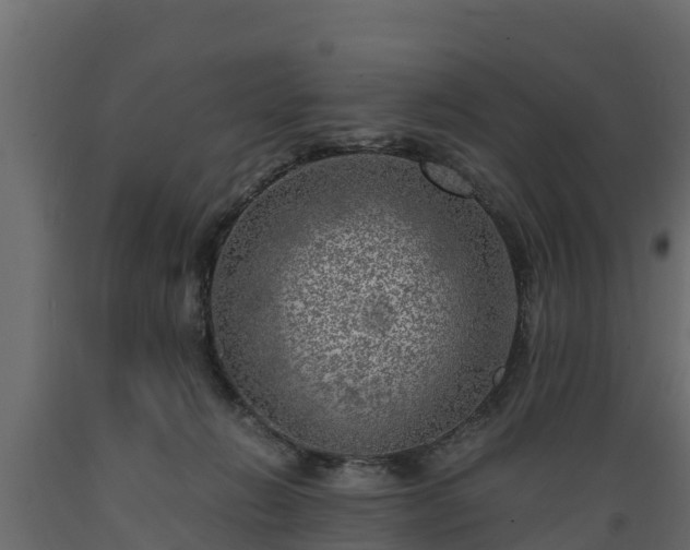 X0000089920270200707061025
