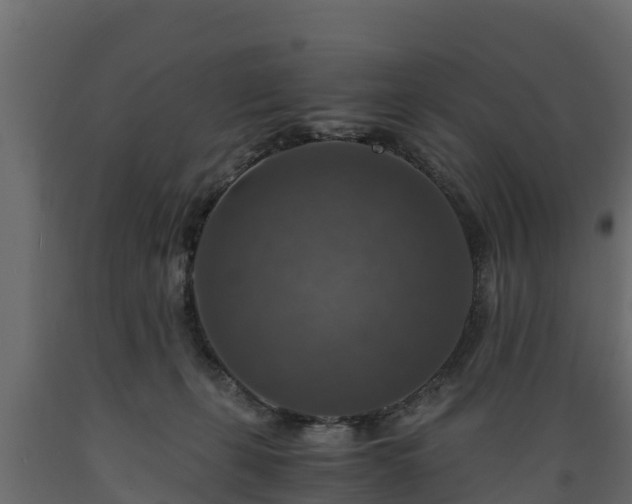 X0000089920271200707061025