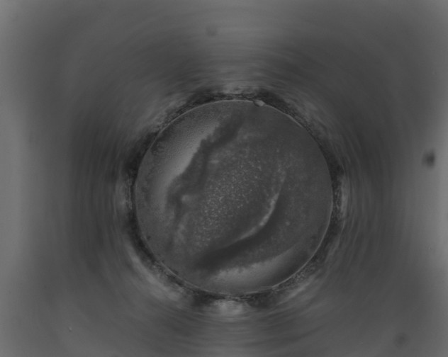 X0000089920272200707061025