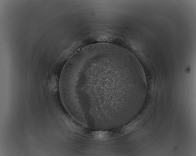 X0000089920273200707061025
