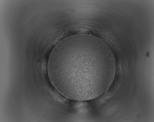 X0000089920274200707061025