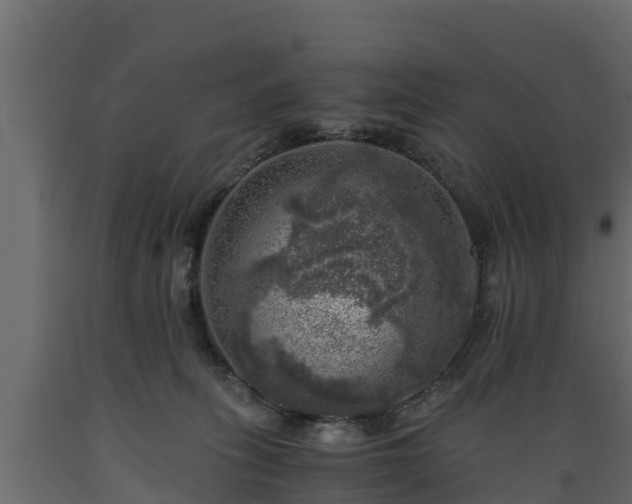 X0000089920275200707061025