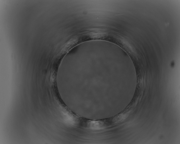 X0000089920277200707061025
