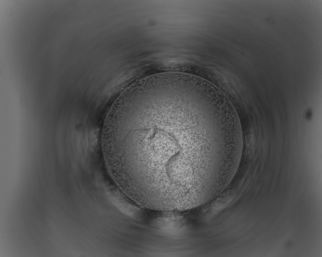 X0000089920278200707061025