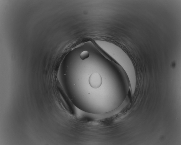X0000089920280200707061025