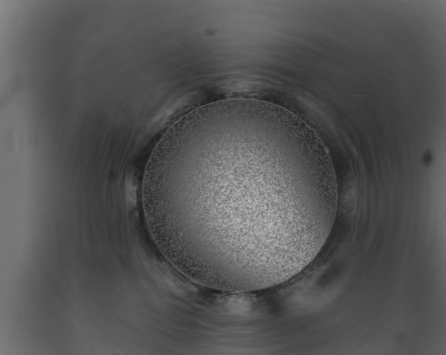 X0000089920282200707061025