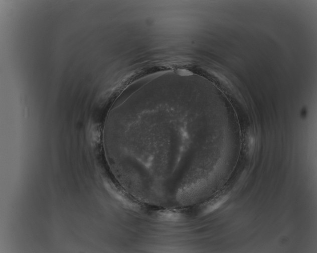X0000089920284200707061025