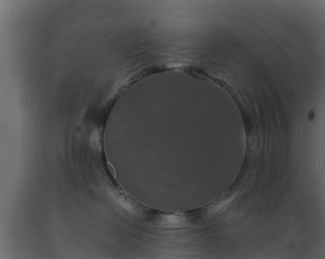 X0000089920286200707061025