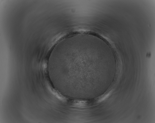 X0000089920288200707061025