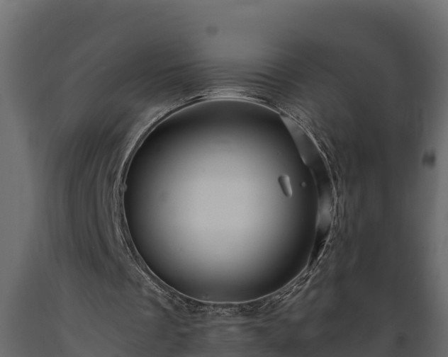 X0000089920289200707061024