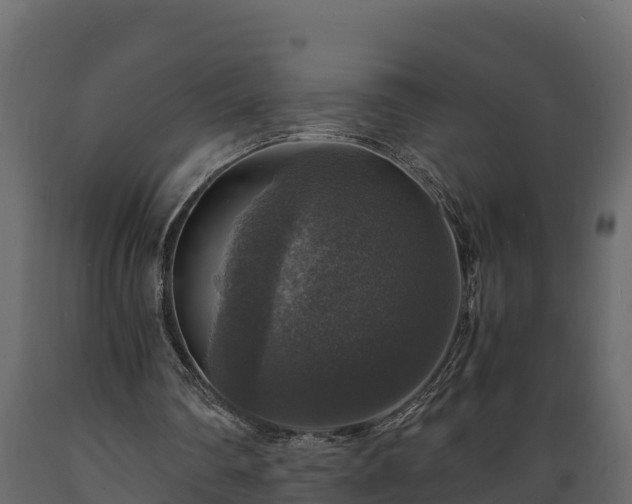 X0000089920290200707061024