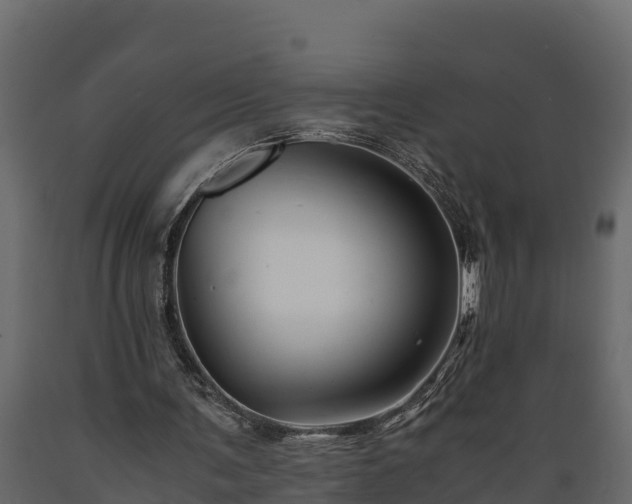 X0000089920291200707061024