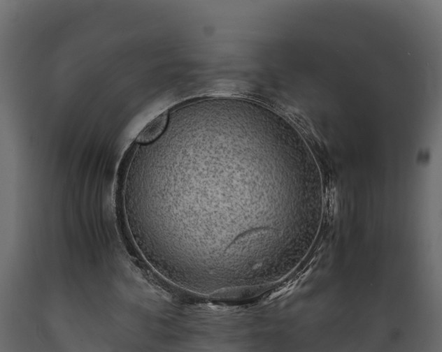 X0000089920292200707061024