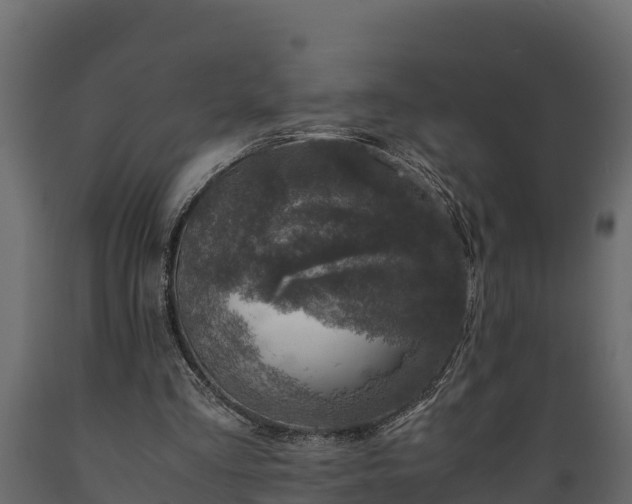 X0000089920293200707061024