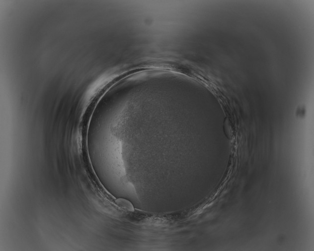 X0000089920294200707061024