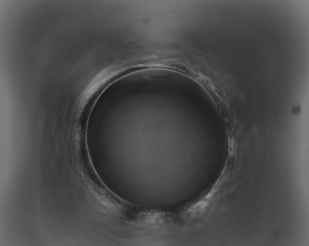 X0000089920295200707061024