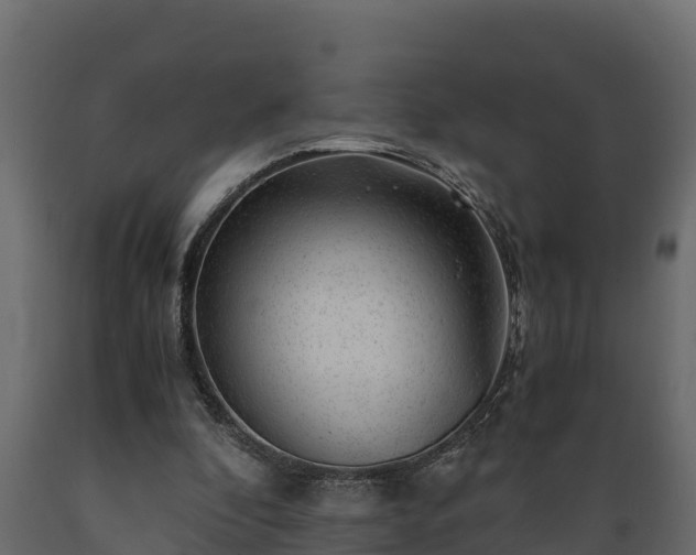 X0000089920296200707061024