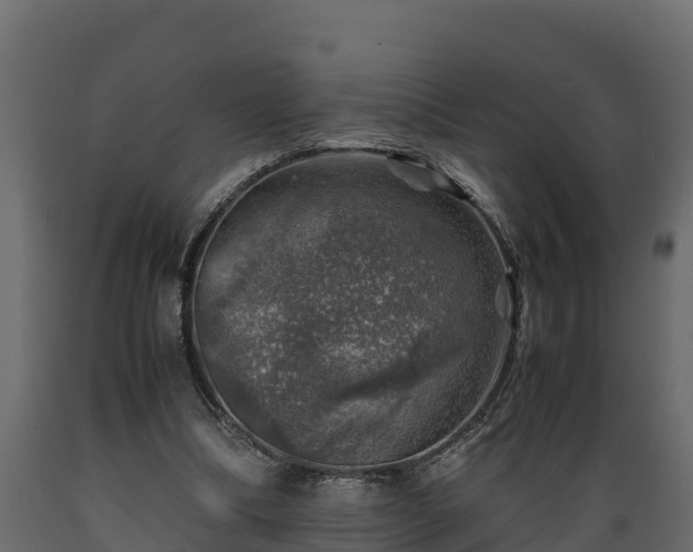 X0000089920298200707061024