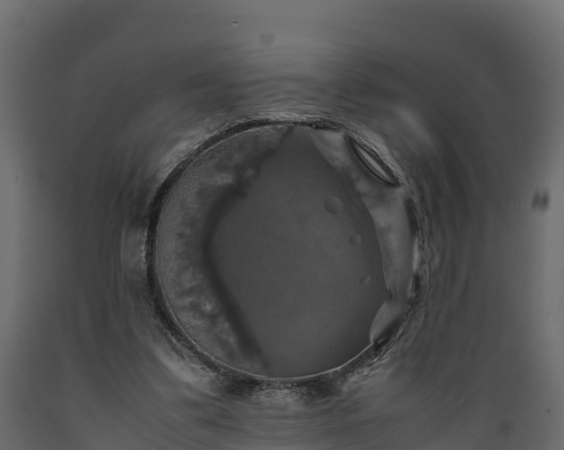 X0000089920299200707061024