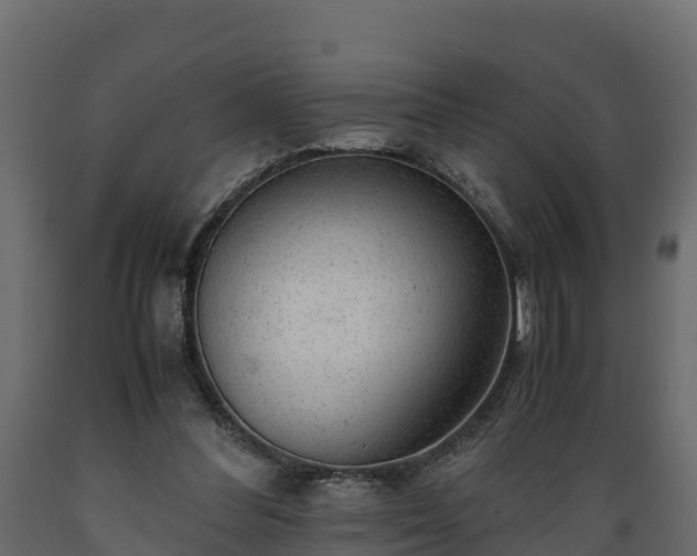 X0000089920300200707061024