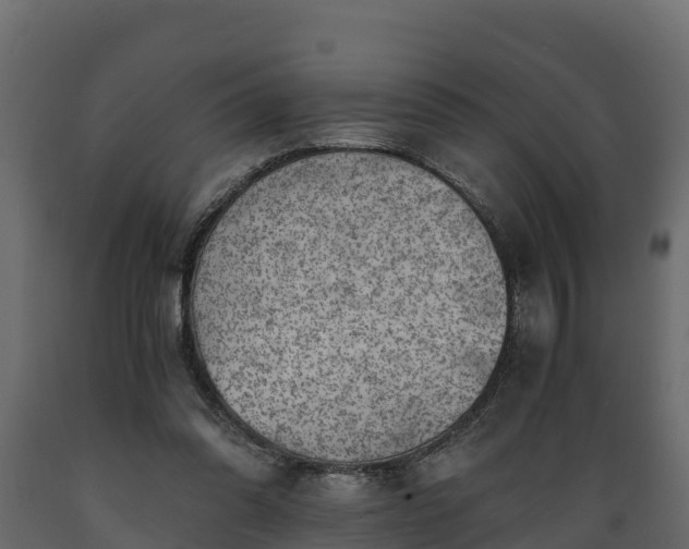X0000089920302200707061024